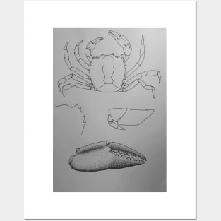 POTAMONIDAE pointillism Posters and Art